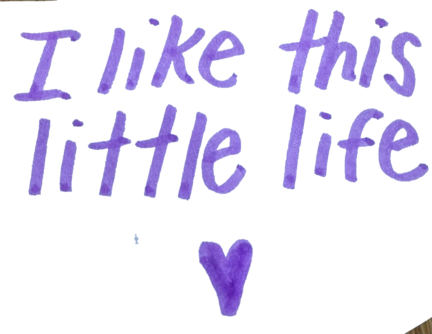 A little life, well loved